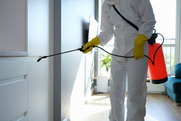 Biohazard Mold Removal in Hico, TX